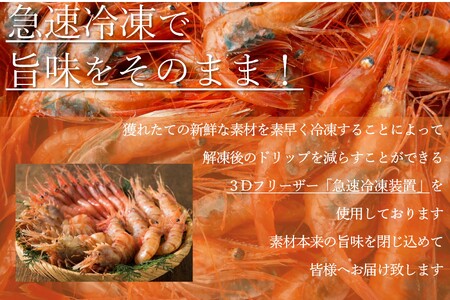 【急速冷凍】北海道苫前産ボタンエビ　500g×2《数量限定》（えび・海老・シマ・甘・イバラ・正月・海鮮・魚介類・北海道・刺身・生・ボイル・小分け・３D冷凍）