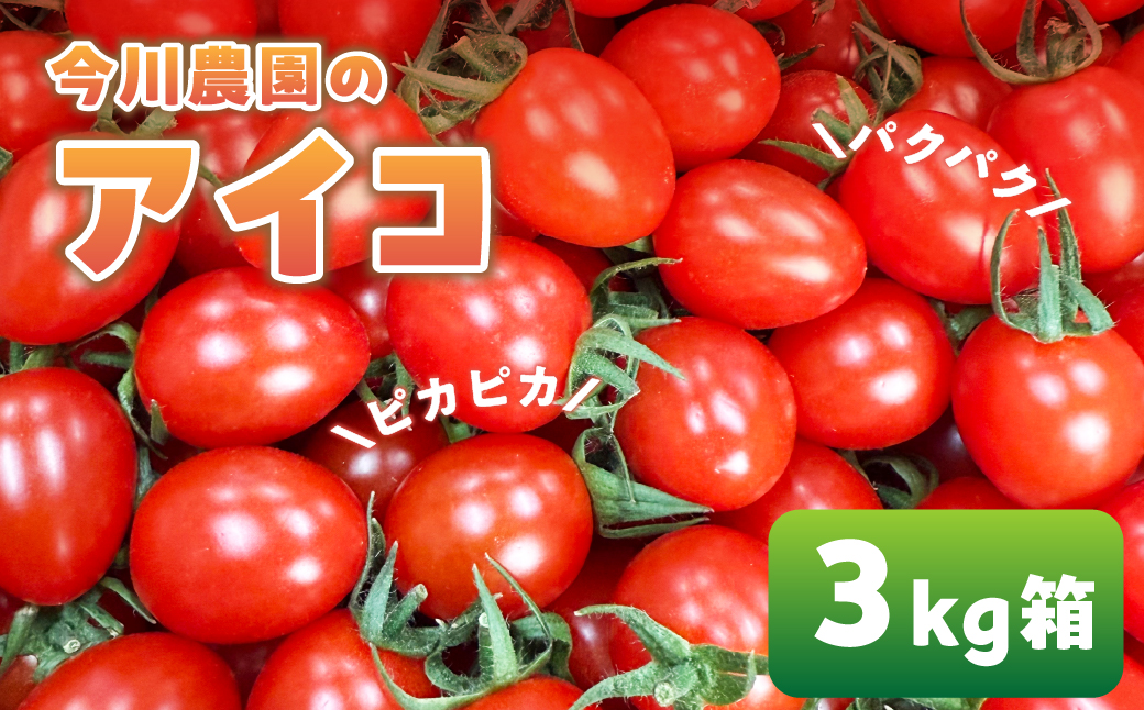 【ふるさと納税】【先行予約】今川農園のミニトマト アイコ 3kg 先行予約受付 期間限定 季節限定 野菜 国産 完熟 やさい フルーツ トマト 完熟 千果 ミニトマト イエロー プチトマト イエロート