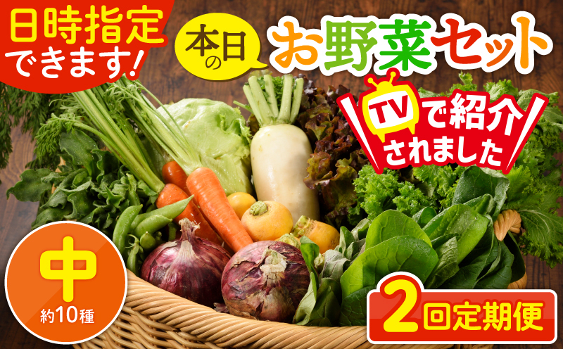 日時指定可能！本日のお野菜セット（サイズ中）【全２回定期便】_A0053-006