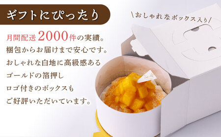 【季節限定】完熟マンゴーチーズタルト1ホール14cm【心優　-Cotoyu Sweets-】[KAA326]/ 長崎 平戸 菓子 スイーツ ケーキ タルト 贈物 贈答 スイーツ ケーキ タルト プレゼ
