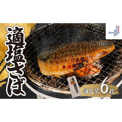 ふるさと納税 銚子市 適塩さば(真空)　6枚入
