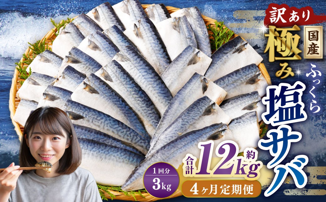 
            【4ヶ月定期便】【訳あり】国産 ふっくら 極み塩サバ 計約3kg ／ 1切れ 塩サバ 塩さば 塩鯖 さば サバ 鯖 魚
          