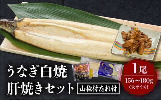 《2025年7月発送予定》うなぎ白焼(大サイズ)・肝焼きセット_M069-022-jul