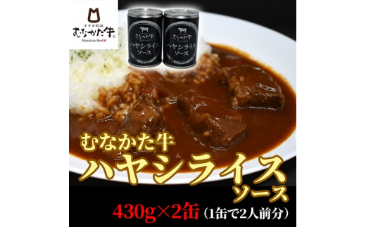 むなかた牛 銀のハヤシライスソース2缶【すすき牧場】_HA1273