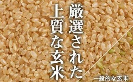 先行予約 魚沼 コシヒカリ玄米 15kg | 5キロ×3回 毎月 定期便 新潟県 令和8年 玄米