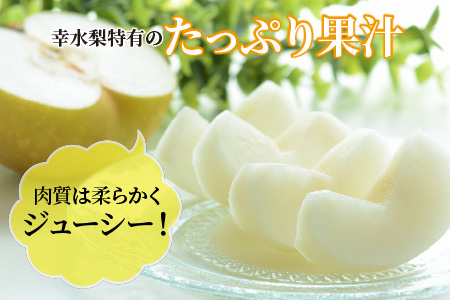 【先行予約】幸水梨 5kg前後 (8～14個) たっぷりの果汁を含んだジューシーな梨！【2026年8月中旬以降順次発送予定】【梨 幸水梨 なし フルーツ 甘い みずみずしい 果実 果物 新鮮 お土産 