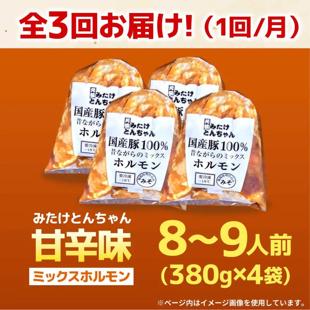 【3回定期便】「元祖みたけとんちゃん」 昔ながらのミックスホルモン 4袋（8人前） / モツ もつ レバー ホルモン / 御嵩町 / 藤よし[AVAA088]