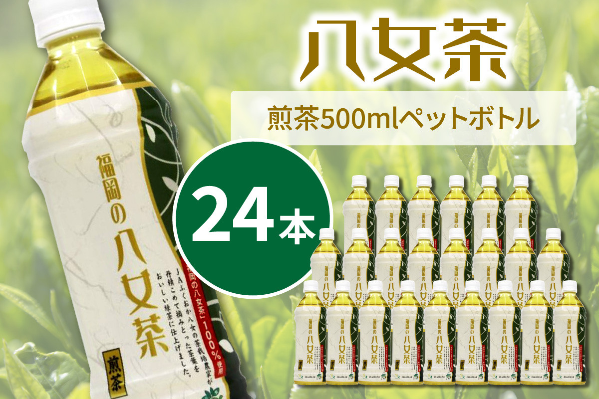 
八女茶　煎茶ペットボトル　500ml×24本【015-0004】
