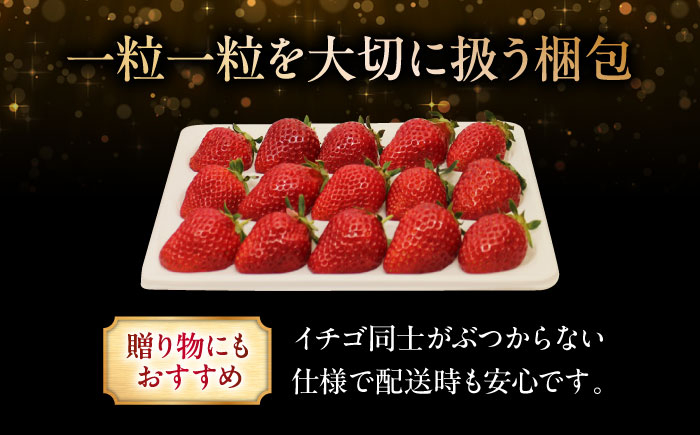 【贈答用にも】何もつけずにそのまま食べてみてほしい苺です。  2万円