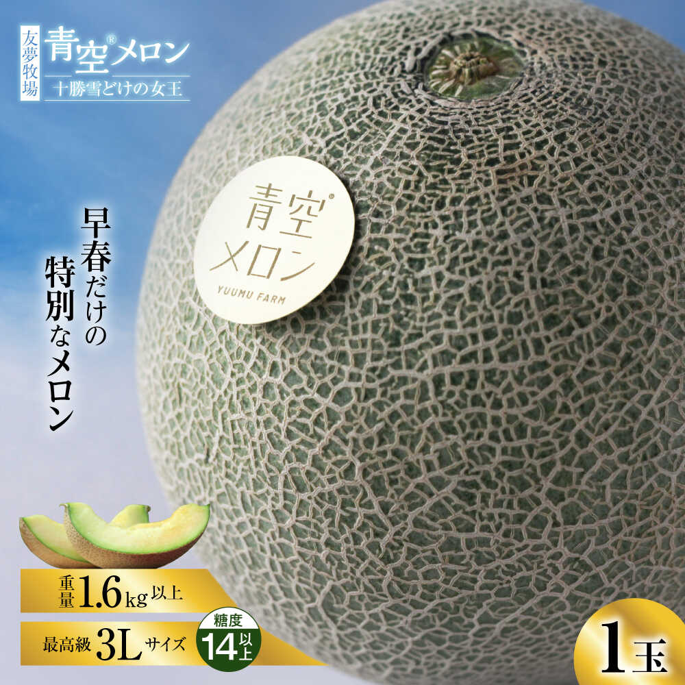 【ふるさと納税】【5月～発送】＼最高級／青空メロン 十勝雪どけの女王 1玉（3L 糖度14以上） | 友夢牧場 贈答 ギフト プレゼント [BNBM001]