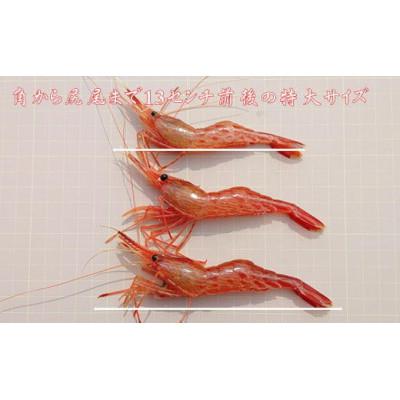 ふるさと納税 増毛町 冷凍シマえび1kg(60尾〜80尾) |  | 02