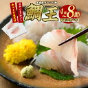 【ふるさと納税】＼ レビューキャンペーン対象品 ／ 長島町特産「鯛王」 スキンレスロイン 選べる 4〜8節入り ＼カットするだけ簡単！新鮮なお刺身が楽しめる／ 国産 鹿児島県産 鯛 タイ 冷蔵 海鮮 海産物 魚介 刺身 煮物 焼き魚 おつまみ 【JFA】jfa-1357