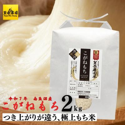 ふるさと納税 南魚沼市 令和7年産 南魚沼産 笠原農園米 こがねもち 2kg