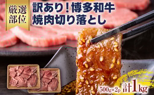 訳あり！【A4～A5】博多和牛焼肉切り落とし(肩ロース・バラ）1kg（500g×2） 黒毛和牛 お取り寄せグルメ お取り寄せ 福岡 お土産 九州 福岡土産 取り寄せ グルメ 福岡県