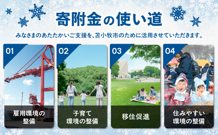 北海道 苫小牧市 応援寄附金 （ 返礼品なし ） 1,000円 T000-001-01 寄附 寄付 寄附金 寄付金 応援寄付金 雇用環境の整備 子育て環境の整備 移住促進 住みやすい環境の整備 ふるさ