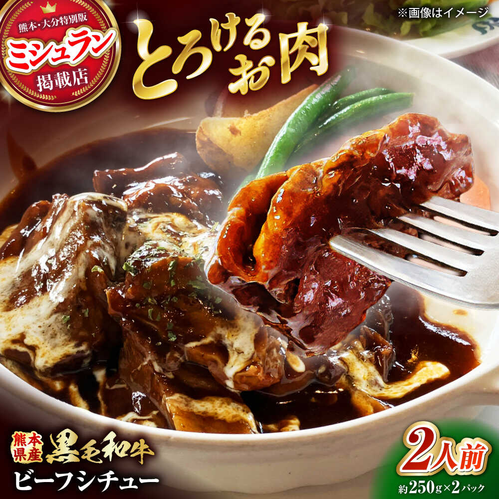 【ふるさと納税】熊本県産 黒毛和牛 こだわりのビーフシチュー 計2パック （約250g×2パック） ビーフシチュー ビーフ シチュー 牛肉 肉 　【有限会社スイートサプライなかぞの】[ZBV107]