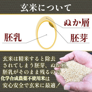 令和7年産 玄米 コシヒカリ 5kg 徳島県 小松島 米 栽培期間中 化学合成農薬不使用