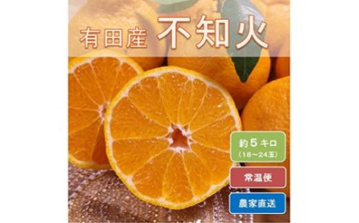 
                  和歌山県有田産 不知火 約5kg（18～24玉）ひとつひとつ手選別で厳選！生産者から直送
                