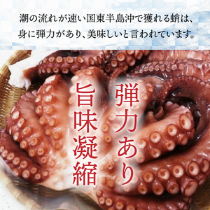 2561R_サイズは不揃いでも味は絶品！国東産ボイルたこ足約1kg