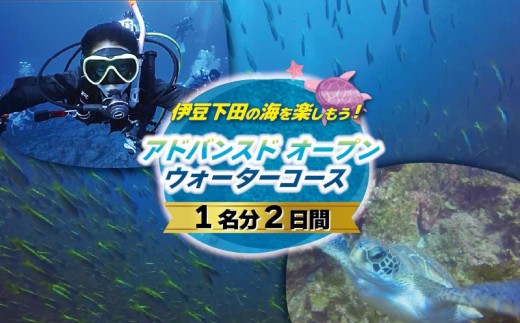 ダイビング アドバンスド オープン ウォーターコース 2日間 1名 海 PADI ライセンス アウトドア スポーツ アクティビティ マリンスポーツ レジャー ドラゴンレディ 旅行 観光 静岡県 下田市 伊豆