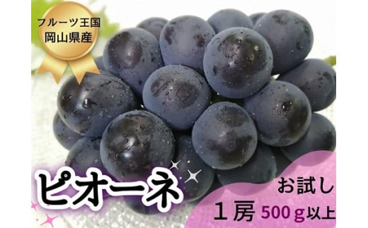 HF-10.【お試し】フルーツ王国岡山の人気ぶどう　ピオーネ１房500ｇ以上！