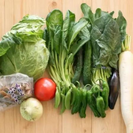 旬の新鮮野菜セット8種以上【野菜詰め合わせ】【配送不可地域：離島】【1753433】