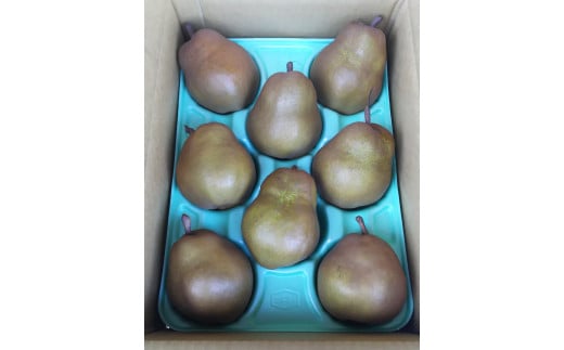 西洋梨（ゴールドラ・フランス）３ｋｇ　0017-2524
