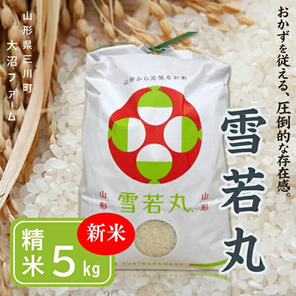 【ふるさと納税】【令和8年産・精米】大沼ファームの雪若丸5kg　※10月中旬頃から順次配送