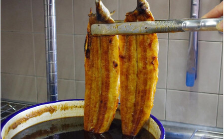 国産うなぎ蒲焼大サイズハーフカット（頭尾なしで1袋70ｇ以上）×３袋セット /  うなぎ 鰻 ウナギ 和歌山 田辺市 国産 国産うなぎ 国産鰻 うなぎ 鰻 鰻丼 うな丼 土用の丑の日 【ots005】
