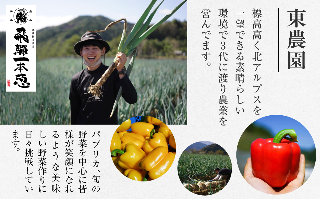 【先行予約】飛騨一本葱　プレミアム5キロ（15本‐20本） 《2026年 先行予約 数量限定 11月中旬～12月中旬より順次発送》 東農園 野菜 ねぎ  冬野菜 高級 レストラン御用達 すき焼き 鍋 