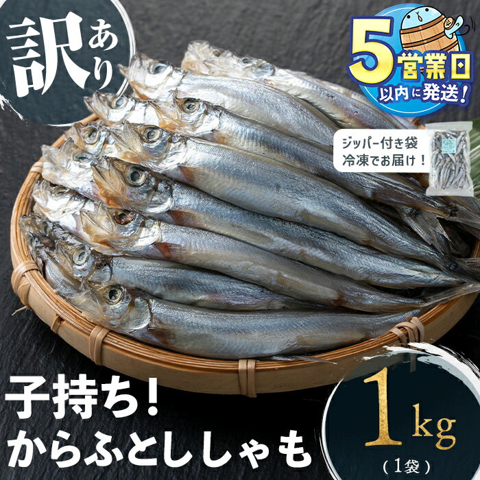 【ふるさと納税】＜すぐ届く！＞【訳あり】山田の子持ちからふとししゃも 計1kg(1袋) 子持ちからふとししゃも 子持ち ししゃも シシャモ 無選別 訳あり 簡易包装 ジッパー付 チャック付 魚介 メス 卵 冷凍 小分け 鹿児島県 垂水市【山田水産】W-1804