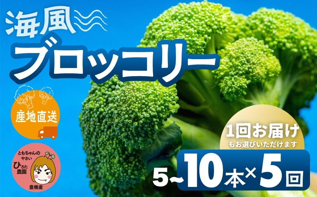 
                  ≪先行予約 11月より順次発送≫ブロッコリー 選べる5本 10本 1回 5回定期便 海風そだち ともちゃんのやさい 豊橋市 ブロッコリー ブロッコリー ブロッコリー ブロッコリー ブロッコリー ブロッコリー ブロッコリー ブロッコリー ブロッコリー ブロッコリー 定期便 ブロッコリー 定期便 野菜 定期便 野菜 定期便 国産 野菜 国産 野菜
                