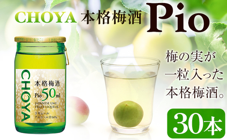 CHOYA本格梅酒 Pio 飲みきりサイズ:50ml×30本 羽曳野商工振興株式会社《30日以内に出荷予定(土日祝除く)》CHOYA チョーヤ 梅酒 本格梅酒 Pio 大阪府 羽曳野市 産地直送 送料無料