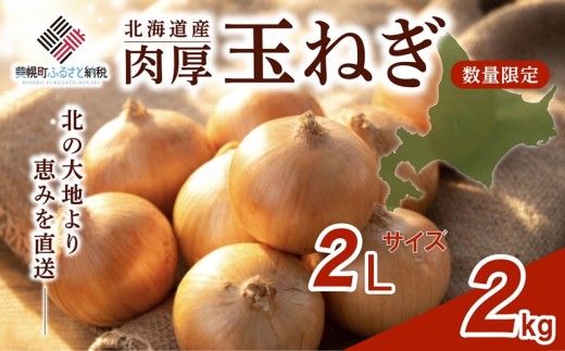 【2026年10月上旬以降発送】 玉ねぎ 2L サイズ 2kg ( 令和8年度産 タマネギ 玉ねぎ 玉ネギ 玉葱 オニオン スライス サラダ 野菜 スープ 肉じゃが 煮物 ハンバーグ すりおろし 甘い カレー BBQ バーベキュー 新鮮 旬 国産 訳あり 北海道 美幌町 先行予約 送料無料 数量限定 フライ 天ぷら ラーメン 寿司 餃子 ピザ 現地直送 )