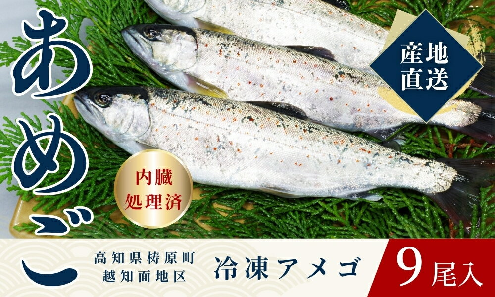 【ふるさと納税】四万十川源流域の清流で育ったゆすはらアメゴ（9匹入り）　アメゴ アマゴ 四万十川 清流 手作業 急速冷凍 川魚 養殖 新鮮 塩焼き　ICT デジタル化