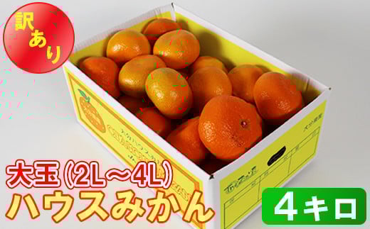 
            【訳あり・大玉】ハウスみかん約4kg（バラ詰め）※サイズ2L～4L混合 温州ミカン 6月 7月 8月 ハウスみかん フルーツ 先行予約 九州 大分 杵築 ＜132-015＞
          