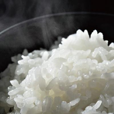 ふるさと納税 南魚沼市 【毎月定期便】6年連続金賞　南魚沼産コシヒカリ5kg　栽培期間中農薬化学肥料不使用全6回 |  | 03