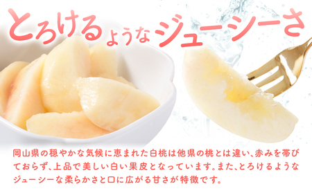 桃 白桃 もも フルーツ【先行予約】岡山の白桃2回コース 6玉(1.6kg以上)  株式会社山博 (中本青果)《1回目：2024年7月上旬から7月中旬発送予定2回目：2024年7月下旬から8月上旬発送