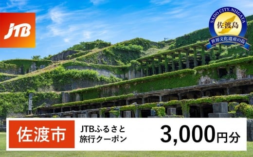 
            【佐渡市】JTBふるさと旅行クーポン（3,000円分）有効期間3年（Eメール発行）｜旅行 トラベル 予約 国内旅行 JTB 宿泊 観光 体験 旅行券 宿泊券 旅行予約 温泉 ホテル 旅館 チケット 子供 子連れ カップル 家族 人気 おすすめ 旅行クーポン 店頭 オンライン ネット予約 電話 有効期間3年
          
