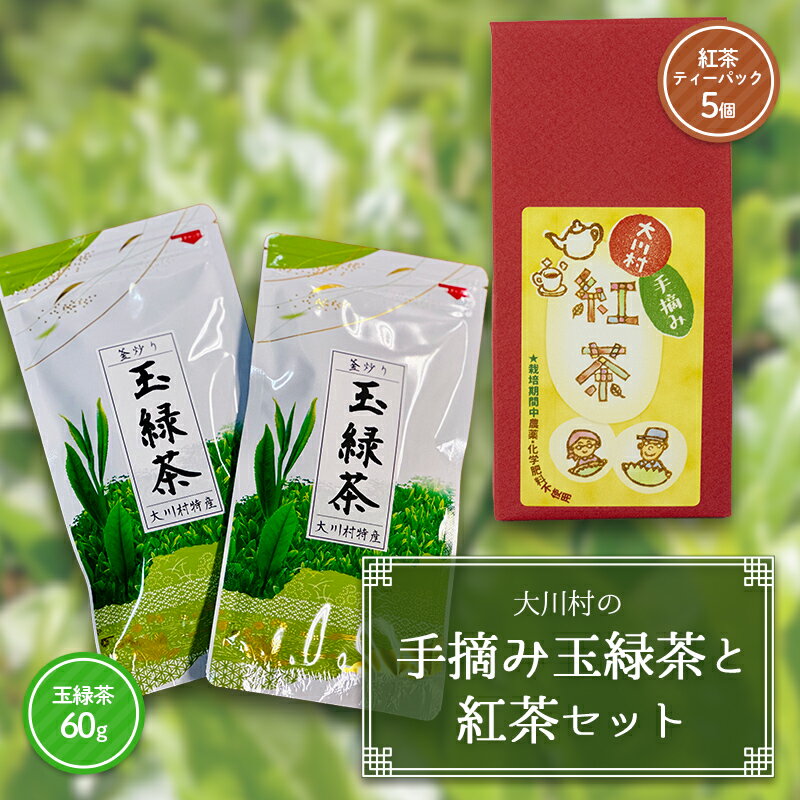 【ふるさと納税】大川村の手摘み玉緑茶と紅茶セット（玉緑茶60g・紅茶ティーパック）お茶 緑茶 紅茶 セット 茶葉 飲み比べ F6R-152