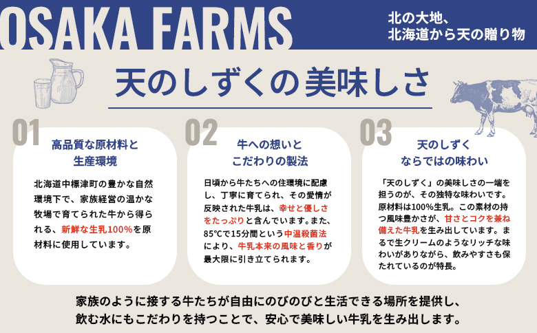 OSAKA FARMS ICE CREAM 詰め合わせ12個入りセット（ミルク・チョコ・イチゴ・抹茶・チョコチップ・ラムレーズン）6種×各2個 | ふるさと納税 北海道 中標津 詰め合わせ アイス ミ