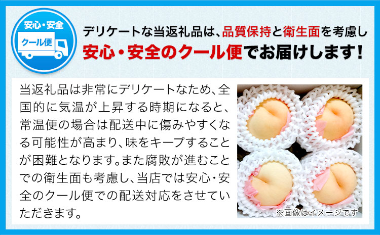 【令和7年度先行予約】桃 黄金桃 ご家庭用 1.4kg (4～6玉) フルーツファーム岡山《2025年8月中旬-9月下旬頃出荷》岡山県 浅口市 送料無料 フルーツ モモ 果物 青果 旬 国産 岡山県産