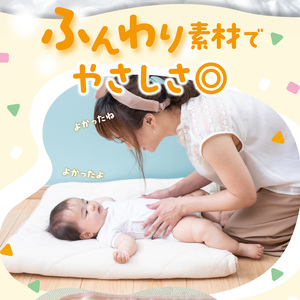 【9か月定期便】LD-035 弱酸性ふんわりタッチのおしりふき（80枚入り×3P）×12セット　合計36パック×9か月_M90-0020