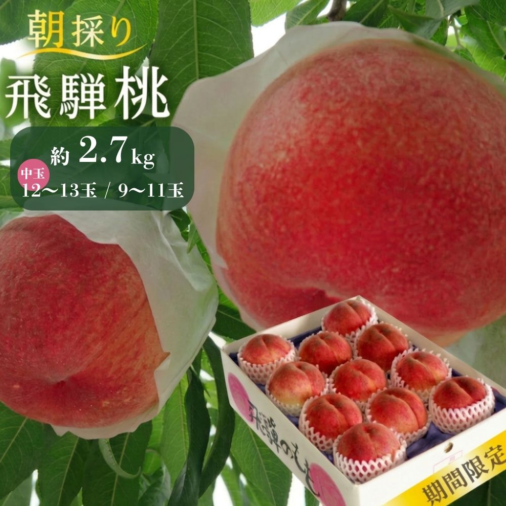 【ふるさと納税】先行予約【7月下旬～8月中旬発送】飛騨桃 中玉 約2.7kg（12～13個）玉数選べる(9～11個)| 桃 もも フルーツ 果物 旬 朝採れ 産地直送 白桃 品種お任せ 飛騨高山 山本果樹園 MA003