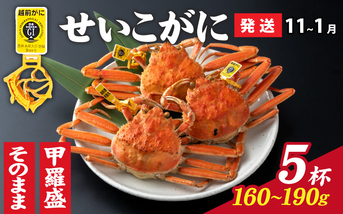 
                  【先行予約】選べる！美味しさ直送【成前特選】せいこがに（160g～190g）×5杯【11月～1月発送】  [G-028043] / ズワイガニ 甲羅盛り 越前がに かに 蟹 楚蟹 セイコ蟹 越前かに 香箱がに こうばこがに 親ガニ こっぺがに せこがに 甲羅蟹 甲羅がに 香箱蟹 メス ずわいがに カニ セイコガニ 姿
                