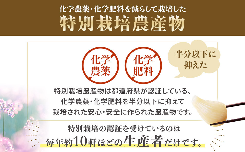 325.【特別栽培】生ラッキョウ　計4kg（ラクダラッキョウ×2kg　玉ラッキョウ×2kg）　※2026年5月下旬～7月上旬頃に順次発送予定