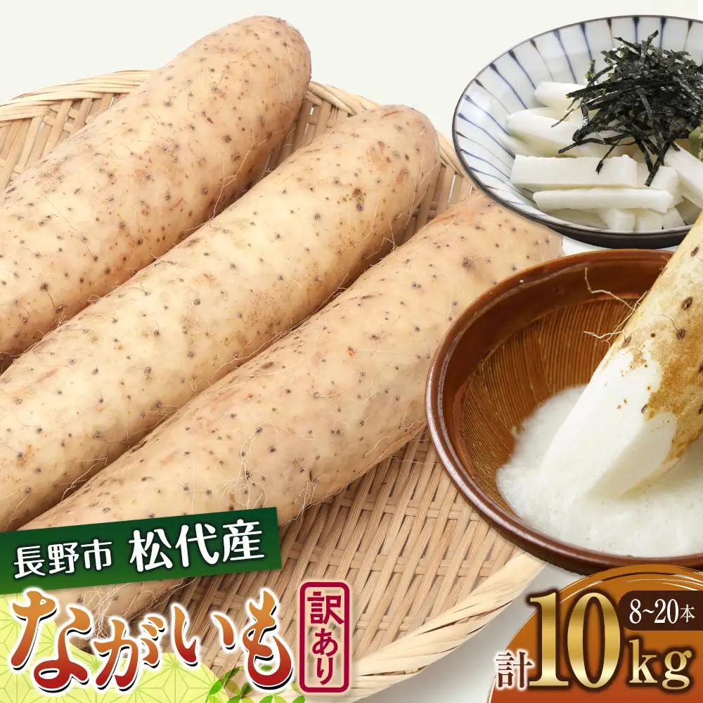 高野農園　長野市松代産 TAKANO農園　長いも 約10kg（訳あり）【8～20本】長芋　ながいも |長芋