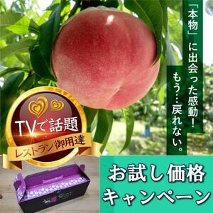 【お試しキャンペーン】4年連続TV出演で話題沸騰中『樹上完熟ブランド桃』2025年8月下旬より発送【配送不可地域：離島・北海道・沖縄県・中国・四国・九州】【1460000】