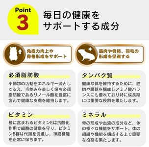 わが家のプチアイドル ひまわりの種 100%（400g×24袋）_ひまわりの種 100% 400g × 24袋 リス ハムスター モルモット ウサギ 小動物 殻付きタイプ カリカリ食感 香ばしい 風味