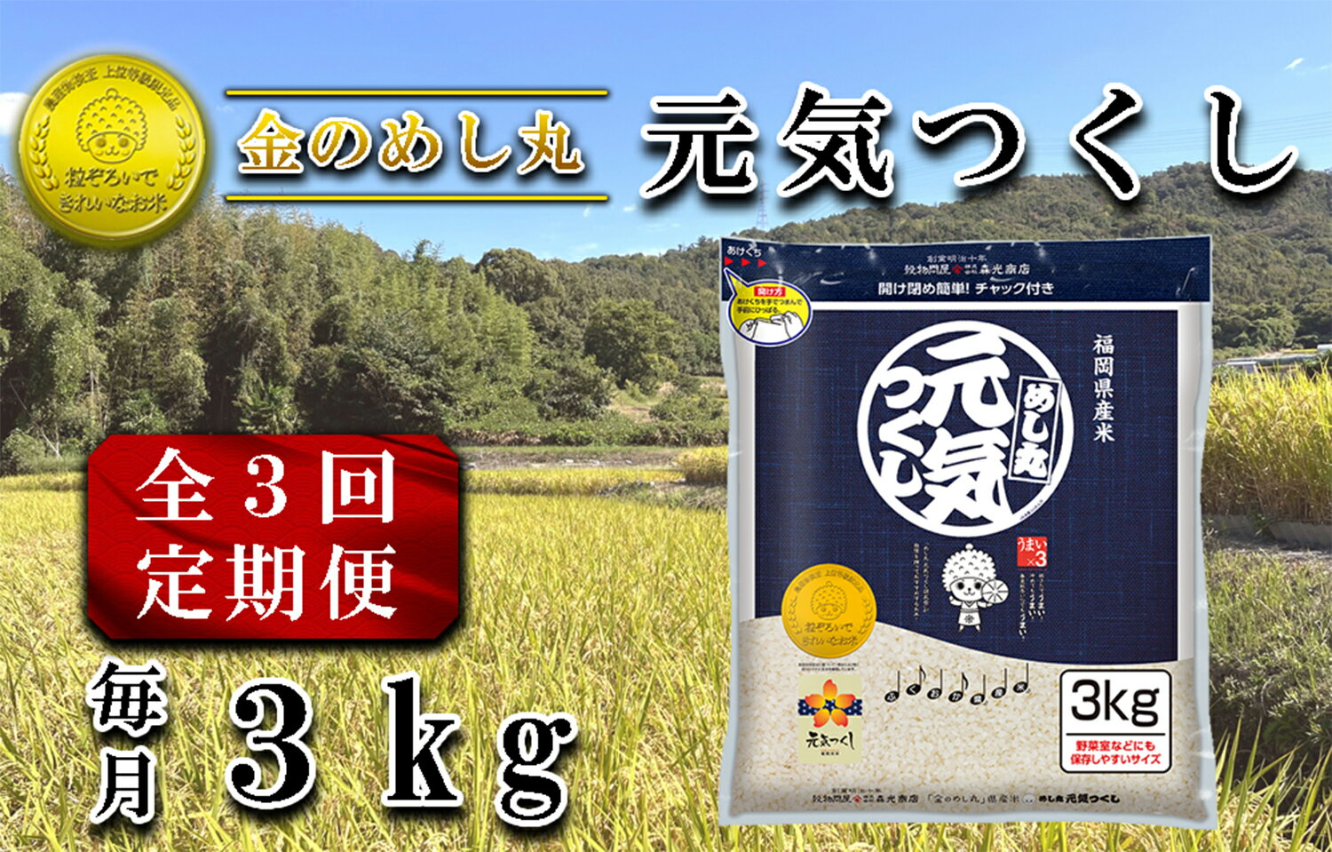 【ふるさと納税】【定期便3回】令和7年米　金のめし丸元気つくし 3Kg（1袋）×3回_CE-109